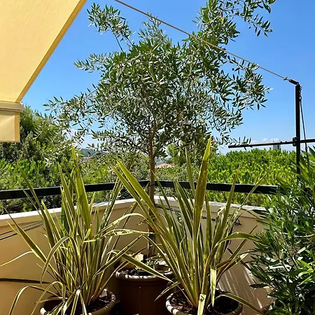 Attico Nonna Teresa - Centro Apartament Pesaro