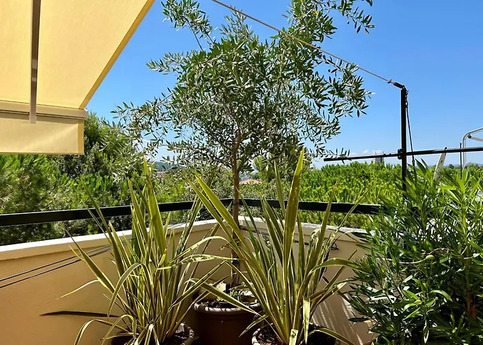 Attico Nonna Teresa - Centro Apartment Pesaro